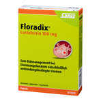 Floradix Lactoferrin 100 mg Kapseln 30 St