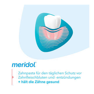 Grafik Meridol Zahnpasta für den täglichen Schutz