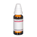 Rhus Toxicodendron D 12 Dilution 20 ml