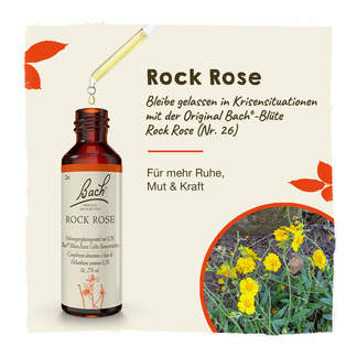 Bachblüte Rock Rose Tropfen