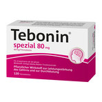 Tebonin spezial 80 mg 120 St