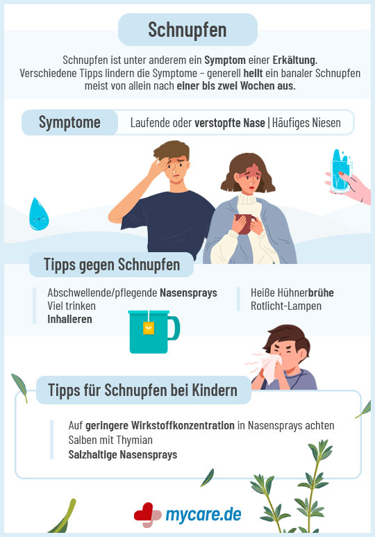 Infografik Schnupfen: Symptome und Tipps