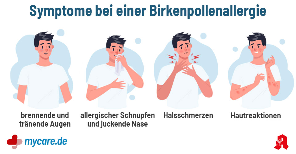 Symptome bei einer Birkenpollenallergie: brennende und tränende Augen, allergischer Schnupfen und juckende Nase, Halsschmerzen, Hautreaktionen.