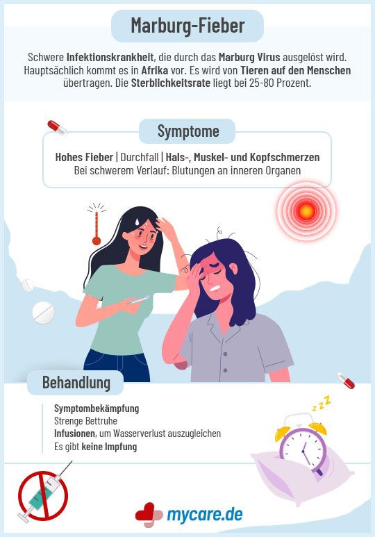 Infografik Marburg-Virus - Ansteckung, Symptome, Behandlung
