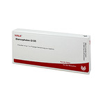 Diencephalon Gl D 5 Ampullen 10X1 ml