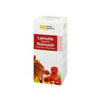 Rizinusöl Raffiniert Lamotte 100 ml