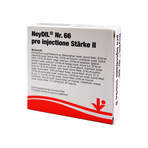 Neydil Nr.66 Pro Injectione St. Ii Ampullen 5X2 ml