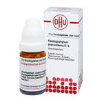 Harpagophytum Procumbens D 6 Globuli 10 g
