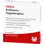 Echinacea Augentropfen 5X0.5 ml