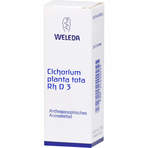 Cichorium Planta Toa RH D3 Dilution 20 ml