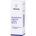 Bryophyllum Mercurio Cultum RH D3 Dilution 20 ml
