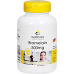 Bromelain 500 mg 250 St