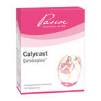 Calycast Similiaplex Tabletten 100 St