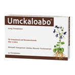 Umckaloabo 20 mg Filmtabletten 30 St