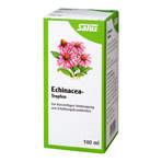 Echinacea-Tropfen Salus 100 ml