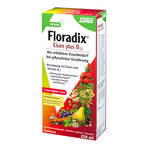 Floradix Eisen plus B12 vegan 250 ml