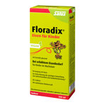 Floradix Eisen für Kinder 250 ml