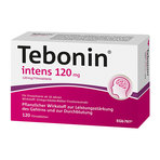 Tebonin intens 120 mg Filmtabletten 120 St