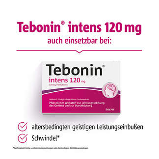 Spar-Set: Tebonin intens 120 mg