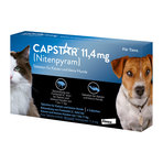 Capstar 11,4 mg Tabletten für Katzen/kleine Hunde 6 St