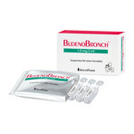 BudenoBronch 1,0 mg/2 ml Suspension 2X20X2 ml
