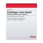 Cartilago suis-Injeel, Verdünnung zur Injektion 10 St