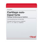 Cartilago suis-Injeel forte, Verdünnung zur Injektion 10 St