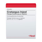 Crataegus-Injeel, Verdünnung zur Injektion 10 St