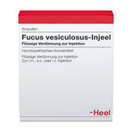 Fucus vesiculosus-Injeel, Verdünnung zur Injektion 10 St