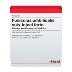 Funiculus umbilicalis suis-Injeel forte, Verdün. zur Injekt. 10 St