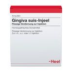 Gingiva suis-Injeel, Verdünnung zur Injektion 10 St