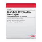 Glandula thyreoidea suis-Injeel, Verdünnung zur Injektion 10 St