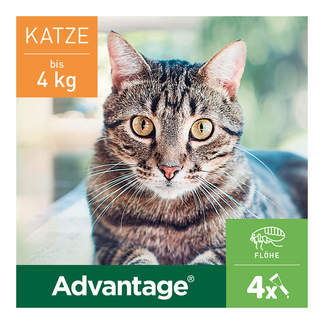 Advantage 40 mg Katze + kleine Zierkaninchen