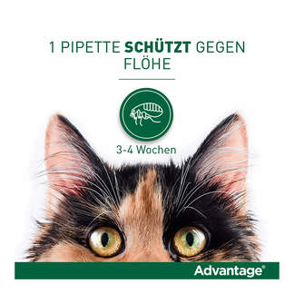Advantage 40 mg Katze + kleine Zierkaninchen