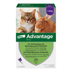 Advantage 80 mg Katze + Zierkaninchen 4X0.8 ml