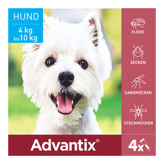Advantix Spot-on Lösung Infografik Hund