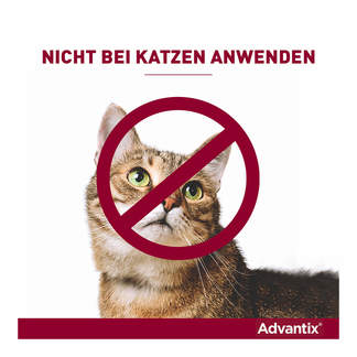 Advantix Spot-on Lösung Hinweis zur Anwendung bei Katzen