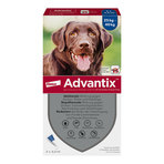 Advantix Spot-on Lsg. zum Auftropfen für Hunde 25-40 kg 4X4.0 ml