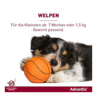 Advantix Spot-on Lsg. zum Auftropfen für Hunde 25-40 kg