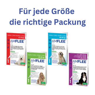 Amflee 67 mg Lösung zum Auftropfen für Kleine Hunde