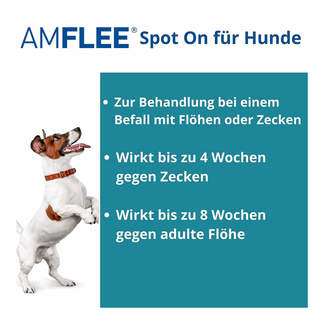 Amflee 134 mg Lösung zum Auftropfen für Mittelgroße Hunde