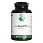 GREEN NATURALS Nattokinase 100 mg vegane Kapseln 365 St