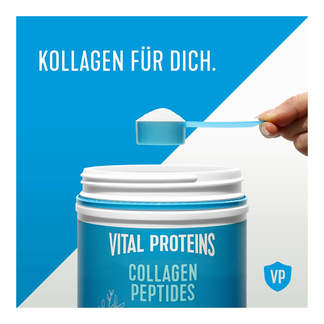Vital Proteins Marine Collagen Pulver Inhalt