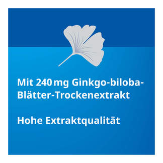 Ginkgo STADA 240 mg Filmtabletten Wirkstoff