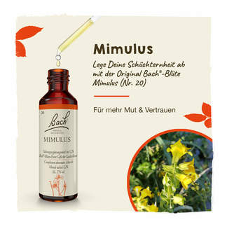 Bachblüte Mimulus Tropfen