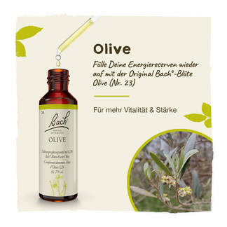 Bachblüte Olive Tropfen