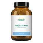 Vitamin B6 aktiv als Pyridoxal-5-Phosphat Kapseln 120 St