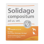 Solidago compositum ad us. vet. 10 St