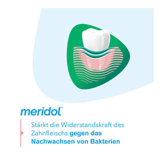 Grafik Meridol Zahnfleischschutz & Frischer Atem Mundspülung Merkmale