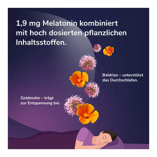 Grafik Lunalaif Guter Schlaf Kombi DEPOT-Tabletten Inhaltsstoffe